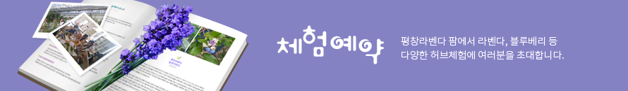 체험신청